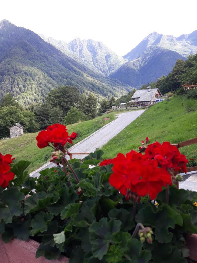 Apartment Casa All'alpe *