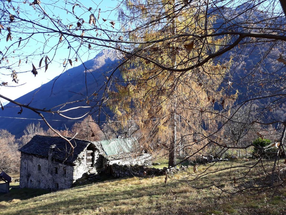 Apartment Casa All'alpe