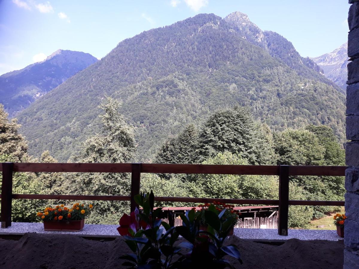 Casa All'alpe Apartment