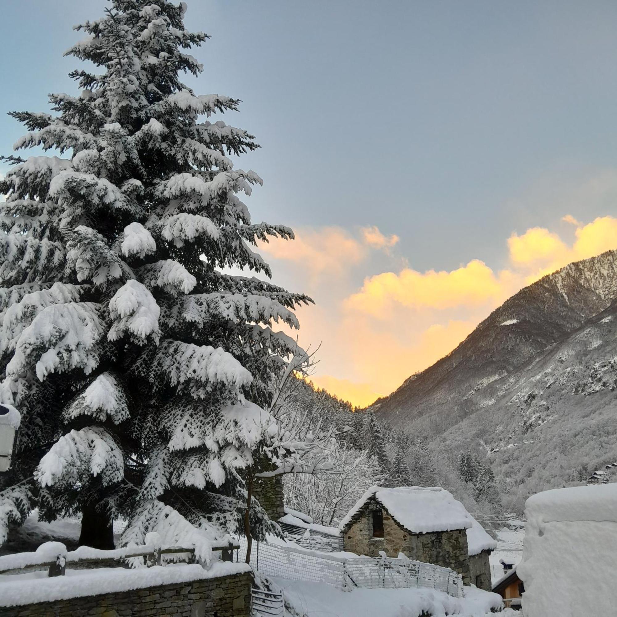Apartment Casa All'alpe