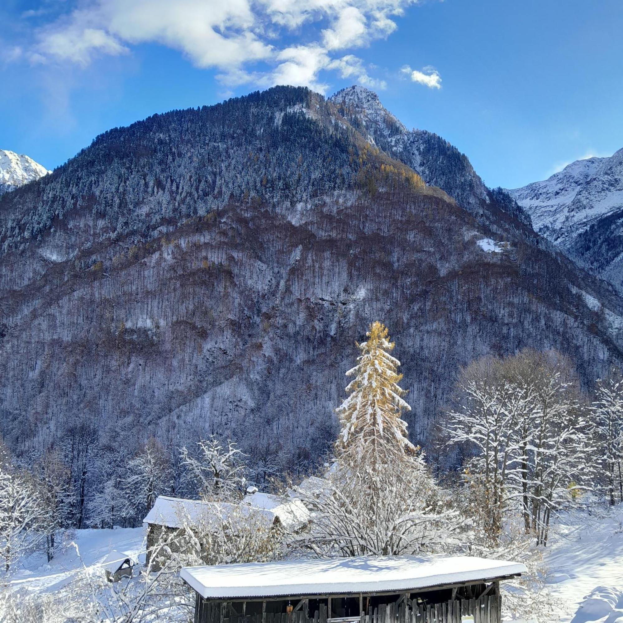 Apartment Casa All'alpe *